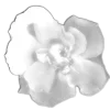 Стикер 54 🤩 flowers - цветы
