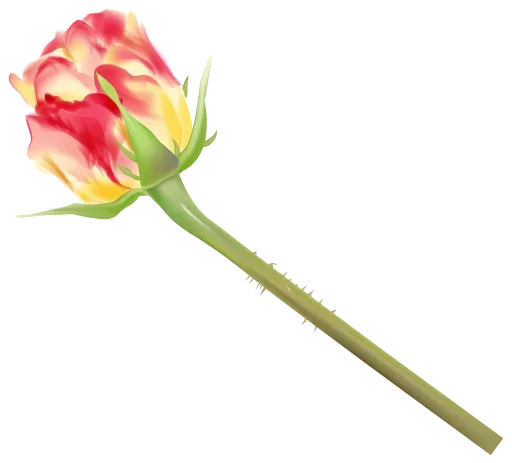 🌷 Стикер «цветочки» для Telegram