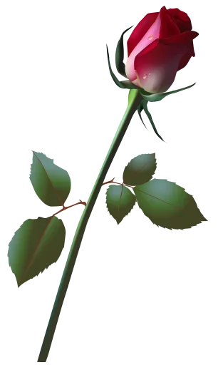 🌻 Стикер «цветочки» для Telegram