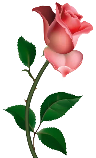 🥀 Стикер «цветочки» для Telegram