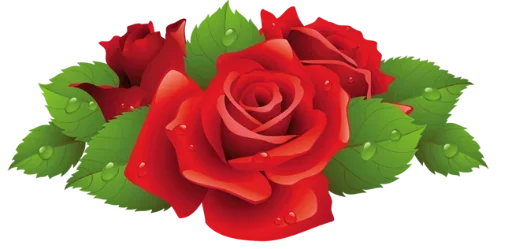 🌹 Стикер «цветочки» для Telegram