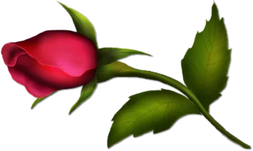 💐 Стикер «цветочки» для Telegram