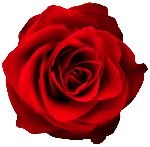🌷 Стикер «цветочки» для Telegram