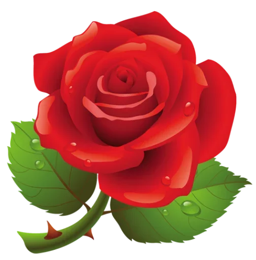 🌺 Стикер «цветочки» для Telegram