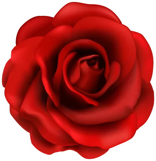 🌹 Стикер «цветочки» для Telegram