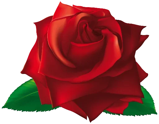 💐 Стикер «цветочки» для Telegram