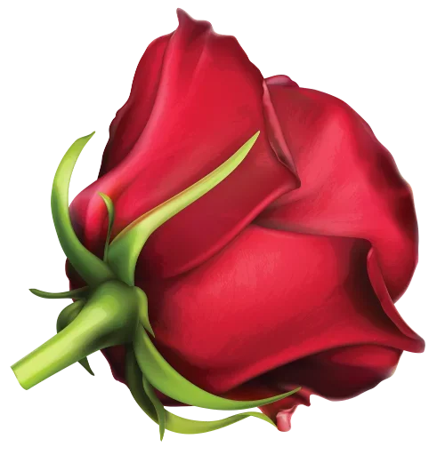 🌷 Стикер «цветочки» для Telegram