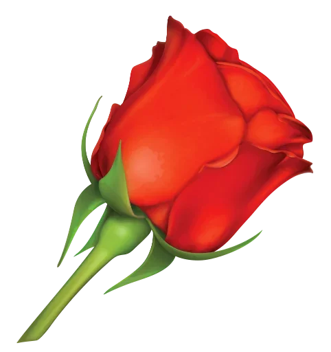 🌺 Стикер «цветочки» для Telegram