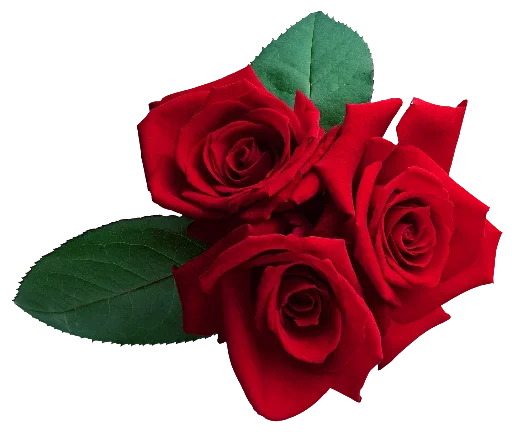 ❤️ Стикер «цветочки» для Telegram