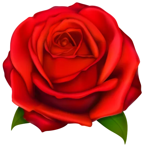 😍 Стикер «цветочки» для Telegram