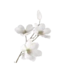 🤍 Эмодзи «໒꒰ྀི´ ˘ ` ꒱ྀིა» для Telegram