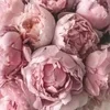 Стикер 7 🌟 flowers &amp;.. - цветочный вайб