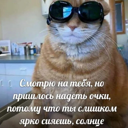 😍 Стикер «fluffy ambulance» для Telegram