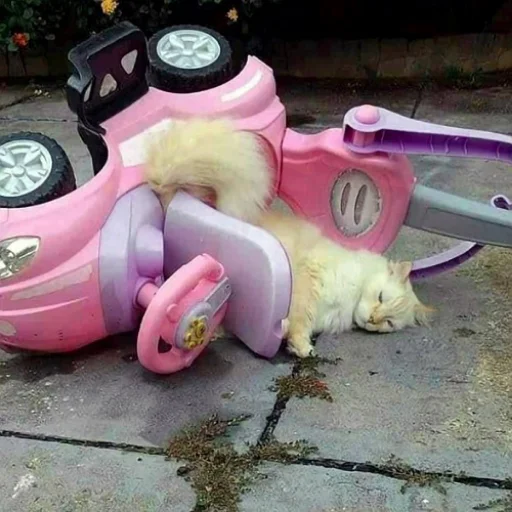 😞 Стикер «fluffy ambulance» для Telegram