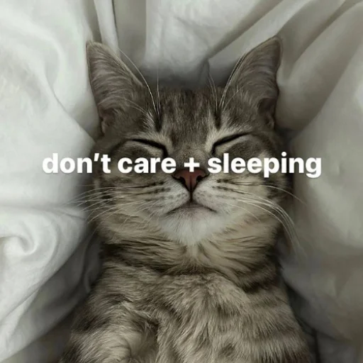 💤 Стикер «fluffy ambulance» для Telegram