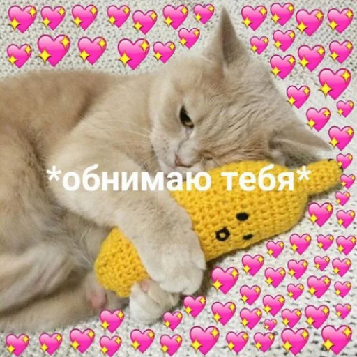 🫂 Стикер «fluffy ambulance» для Telegram