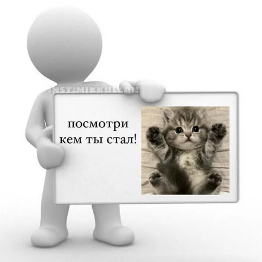 🐈 Стикер «fluffy ambulance» для Telegram