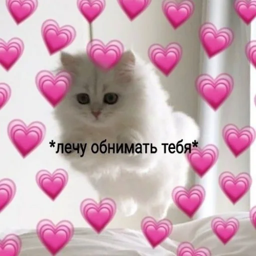 🫂 Стикер «fluffy ambulance» для Telegram