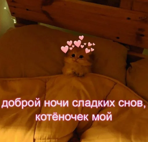 💤 Стикер «fluffy ambulance» для Telegram