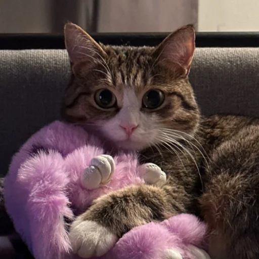 🥺 Стикер «fluffy ambulance» для Telegram