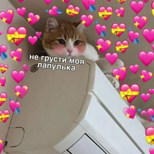 ❤️ Стикер «fluffy ambulance» для Telegram