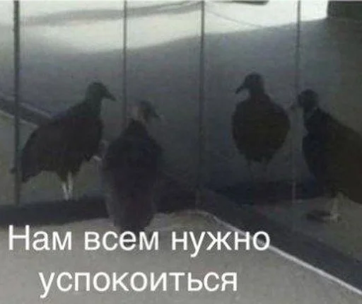 😨 Стикер «пушистые мемы» для Telegram