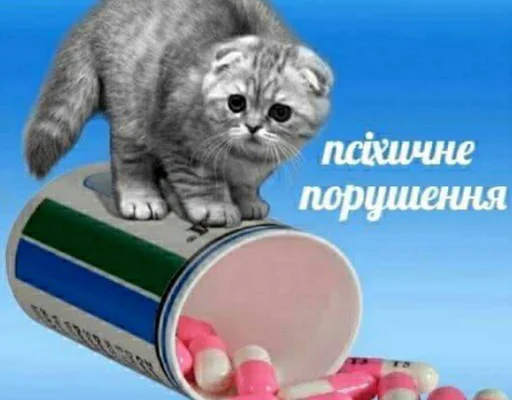 🤕 Стикер «пушистые мемы» для Telegram