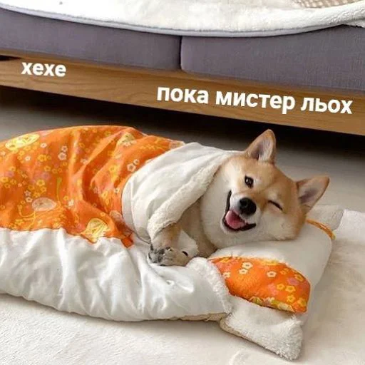 👋 Стикер «пушистые мемы» для Telegram