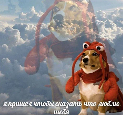 ❤️ Стикер «пушистые мемы» для Telegram