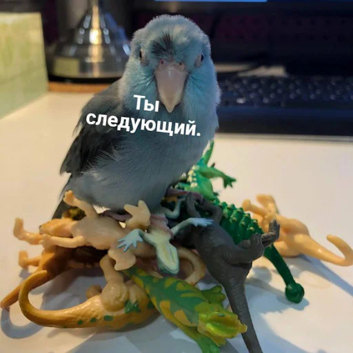 🤬 Стикер «пушистые мемы» для Telegram
