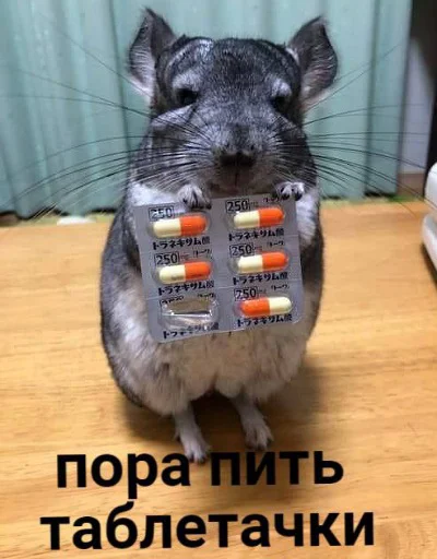 🤕 Стикер «пушистые мемы» для Telegram