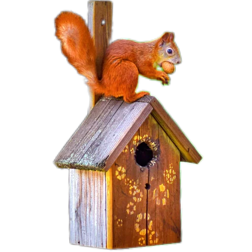 🏡 Стикер «Пушистые и шустрые» для Telegram