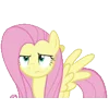 Стикер 5 Fluttershy
