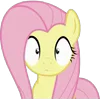 Стикер 19 Fluttershy