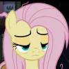 🤩 Эмодзи «Fluttershy» для Telegram