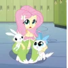 🤩 Эмодзи «Fluttershy» для Telegram