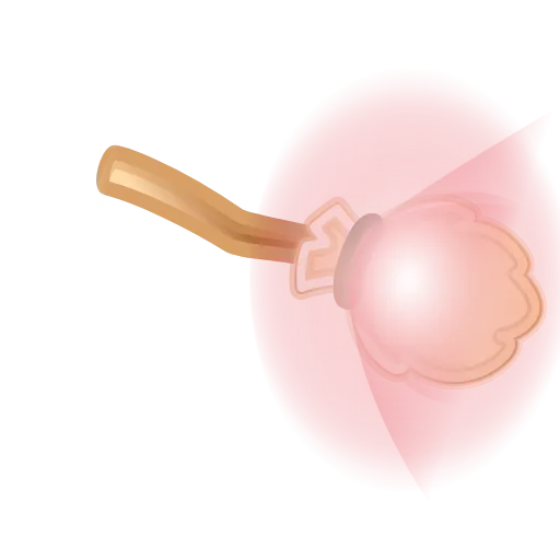 🧹 Эмодзи «Flying Broom» для Telegram