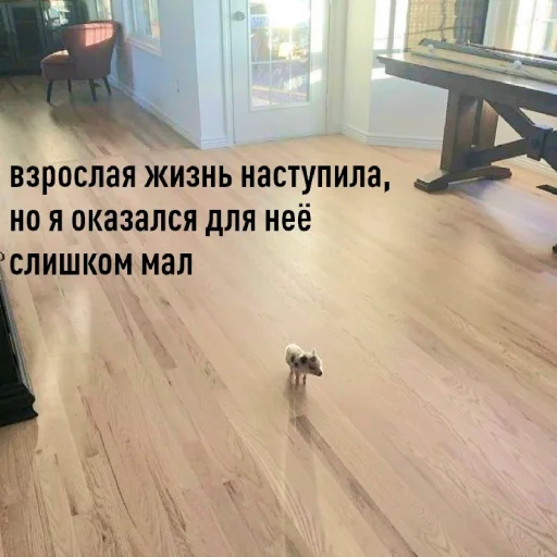 😞 Стикер «FockingLife» для Telegram