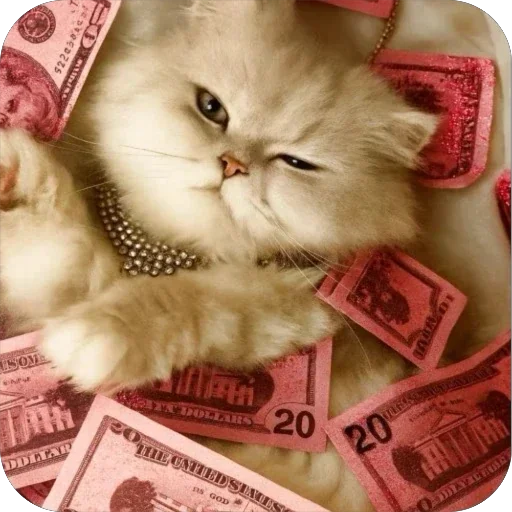 💖 Стикер «FockingLife» для Telegram