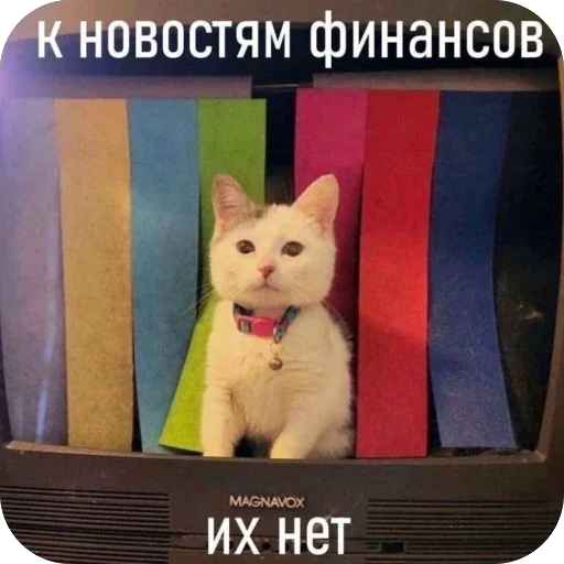 🫥 Стикер «FockingLife» для Telegram
