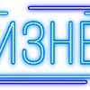 Стикер 21 Папки 10