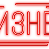 Стикер 21 Папки 5