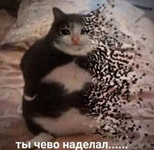 😢 Стикер «фомостикеры» для Telegram