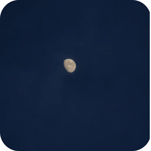 🌔 Стикер «Природа» для Telegram