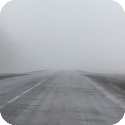 👍 Стикер «Природа» для Telegram