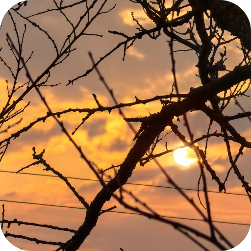 🌅 Стикер «Природа» для Telegram