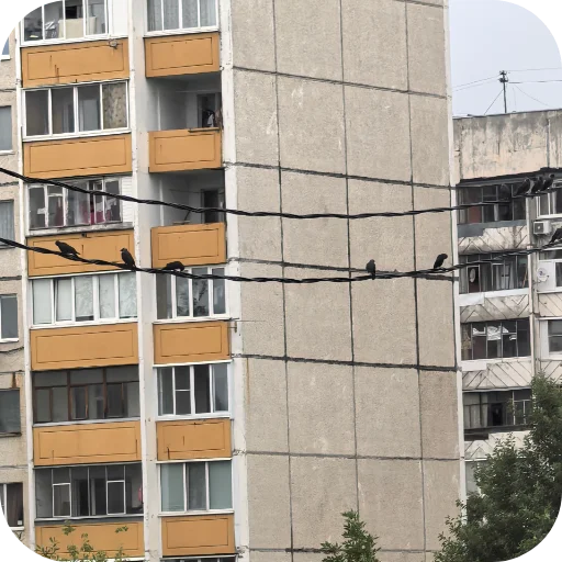 🐦‍⬛ Стикер «Природа» для Telegram