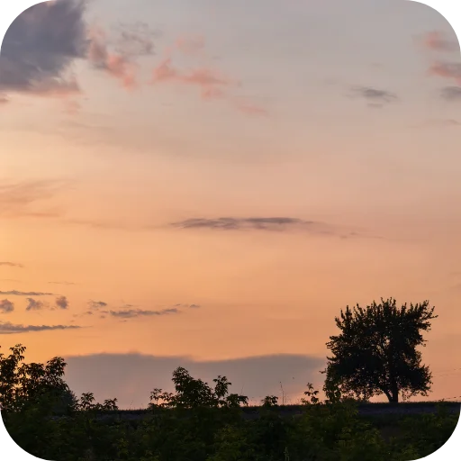 👍 Стикер «Природа» для Telegram