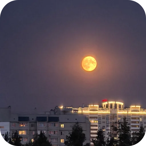 🌕 Стикер «Природа» для Telegram