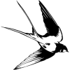 Стикер 36 Фоновые #adaptive